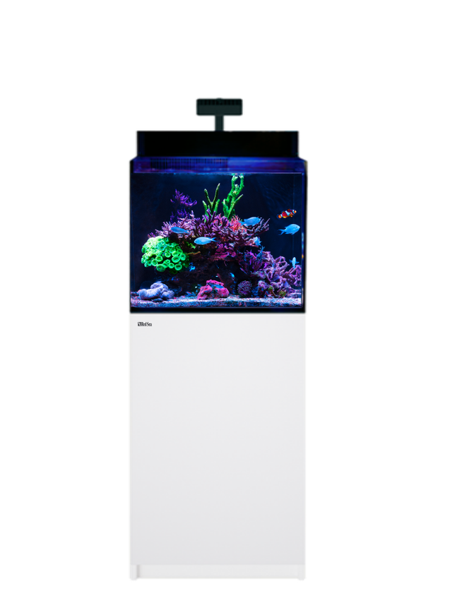 Red Sea Max Nano XL G2 - 33 gallon – Aquarium tout-en-un complet Blanc (White)