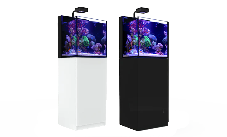 Red Sea Max Nano XL G2 - 33 gallon – Aquarium tout-en-un complet