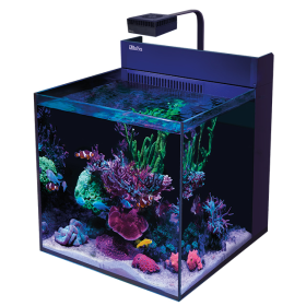 Red Sea Max Nano XL G2 - Black 33 gallon