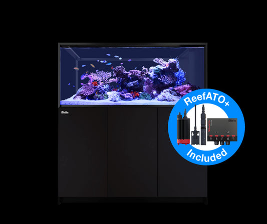 Red Sea Reefer Peninsula G2+ S-700