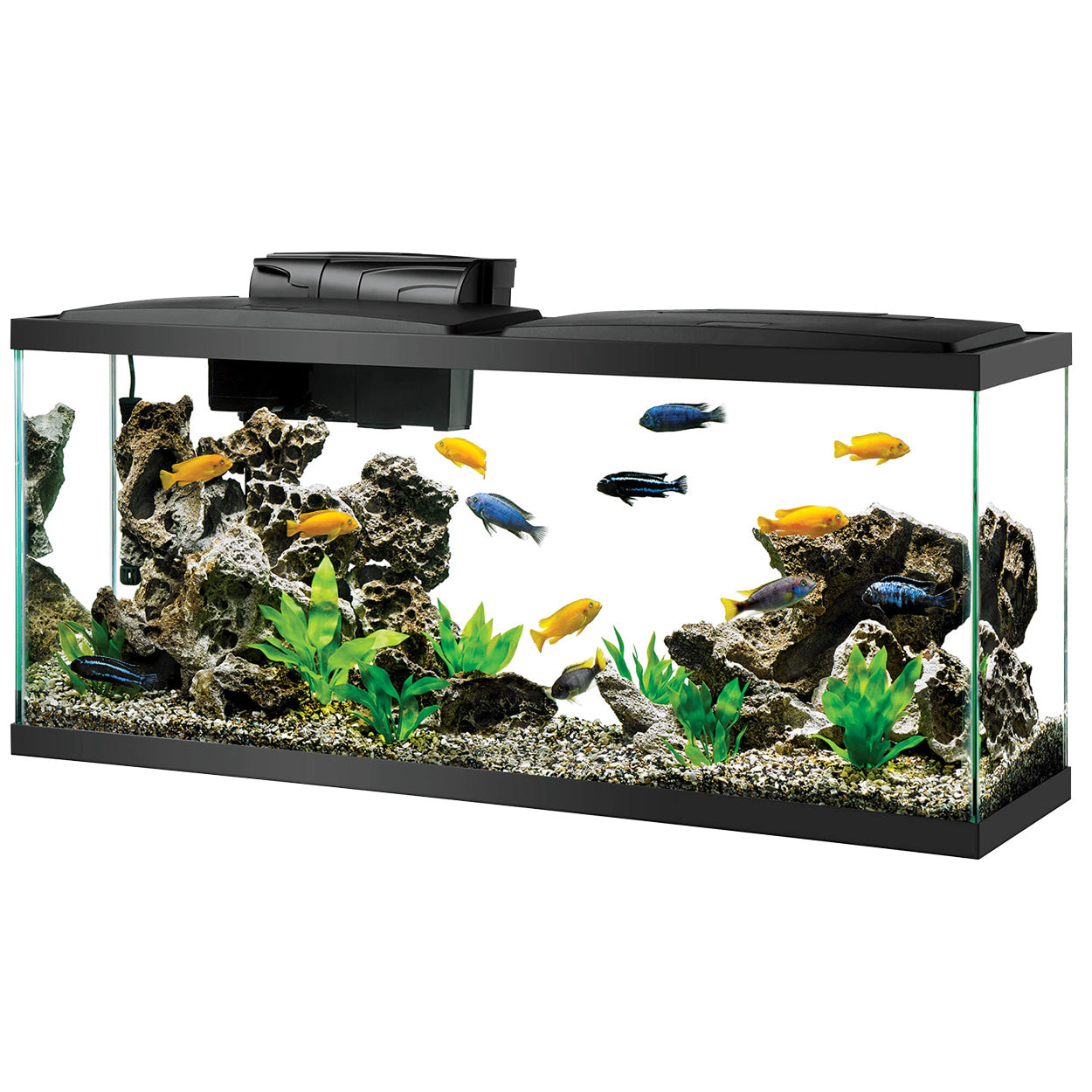 Aqueon Aquarium Kit DEL - 55 gal