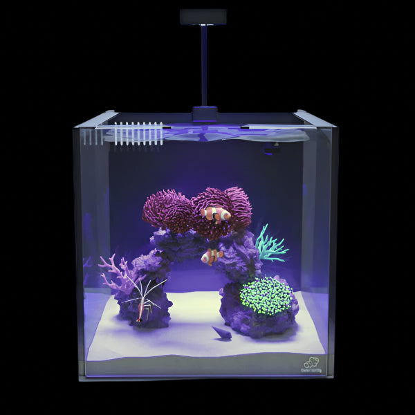 Aquariums récifaux tout-en-un Red Sea Max Nano Reef Casa Pico Studio pour récif marin