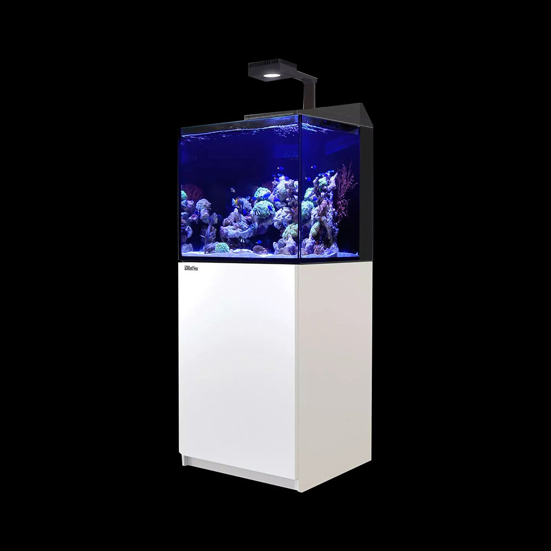 Aquarium marin RedSea Reefer 350 équipé de coraux et poissons vivants - disponible chez Reef Solution