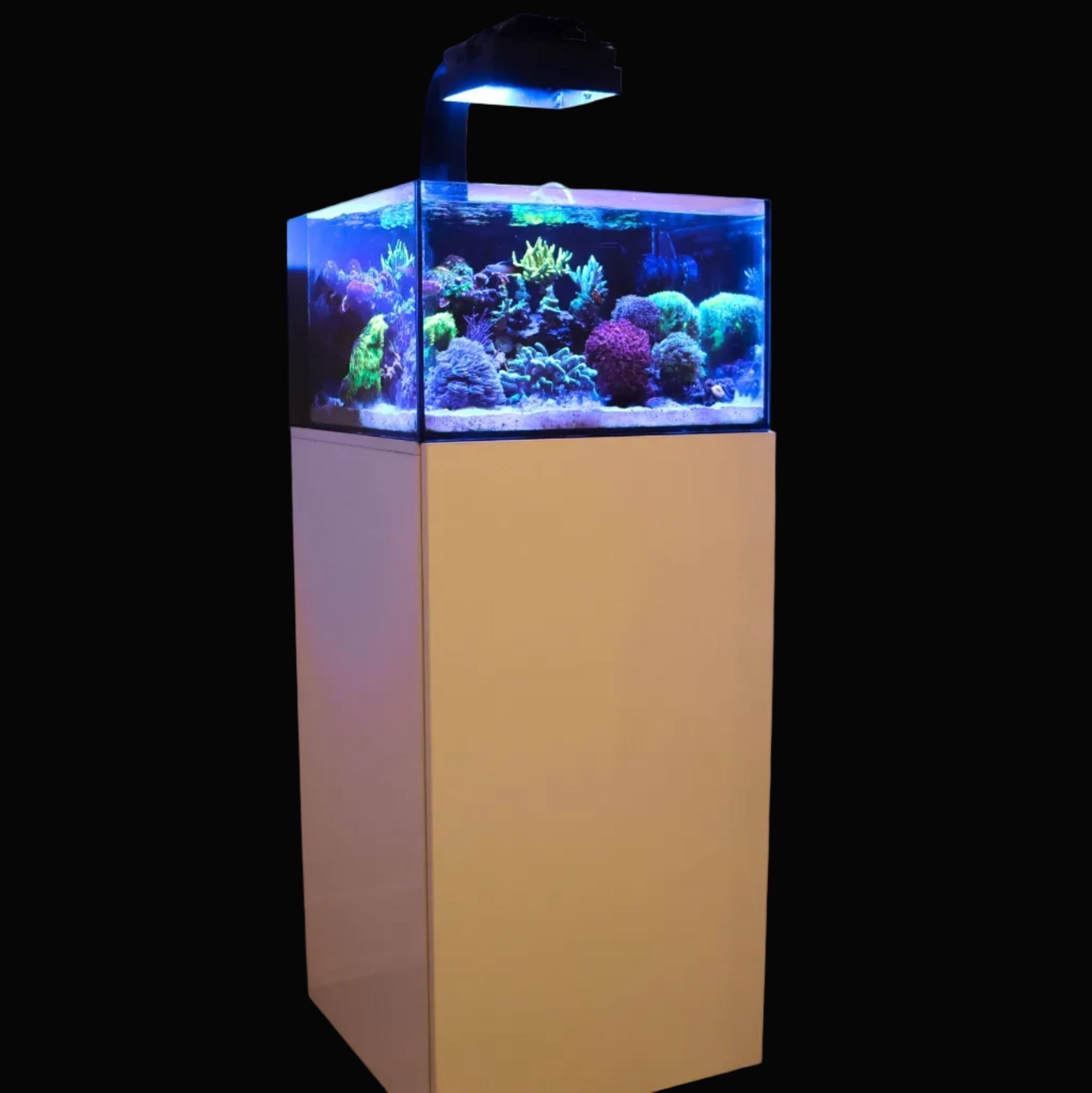 Aquariums nano Reef Casa Pico Studio Tide Laguna tout-en-un avec éclairages LED et équipements pour récif
