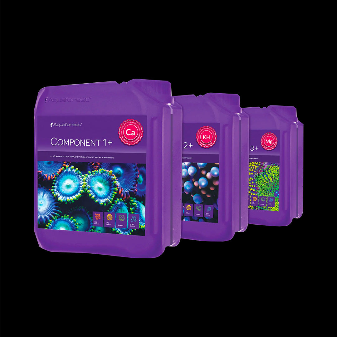 Produits Aquaforest Reef Salt ICP additifs pour aquarium récifal coraux