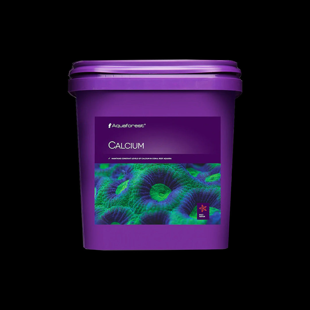 Suppléments calcium et buffer pour aquarium récifal incluant Aquaforest Component, Seachem Reef Advantage et Reef Fusion