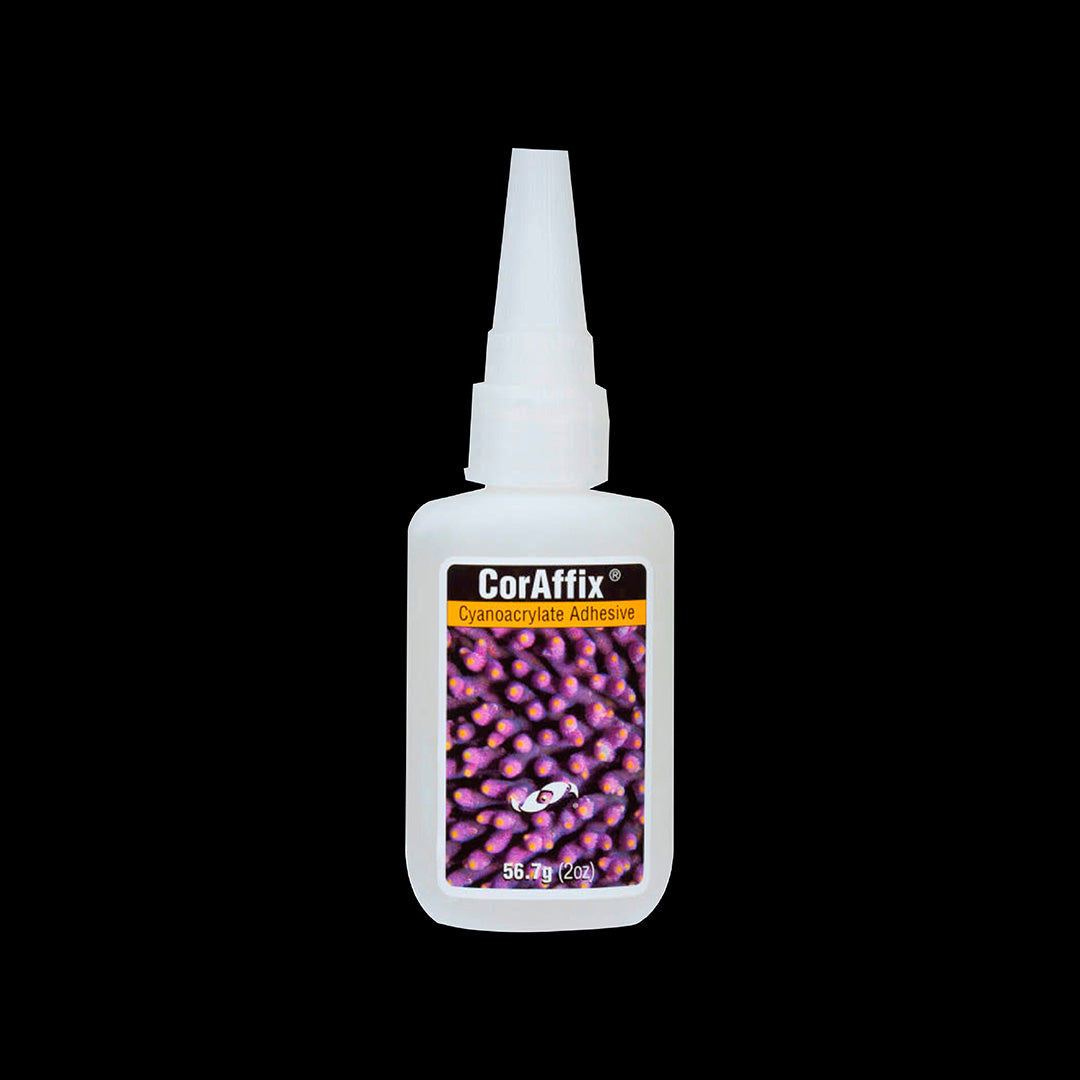 Colle gel cyanoacrylate époxy pour aquarium récifal fixation coraux frags boutures
