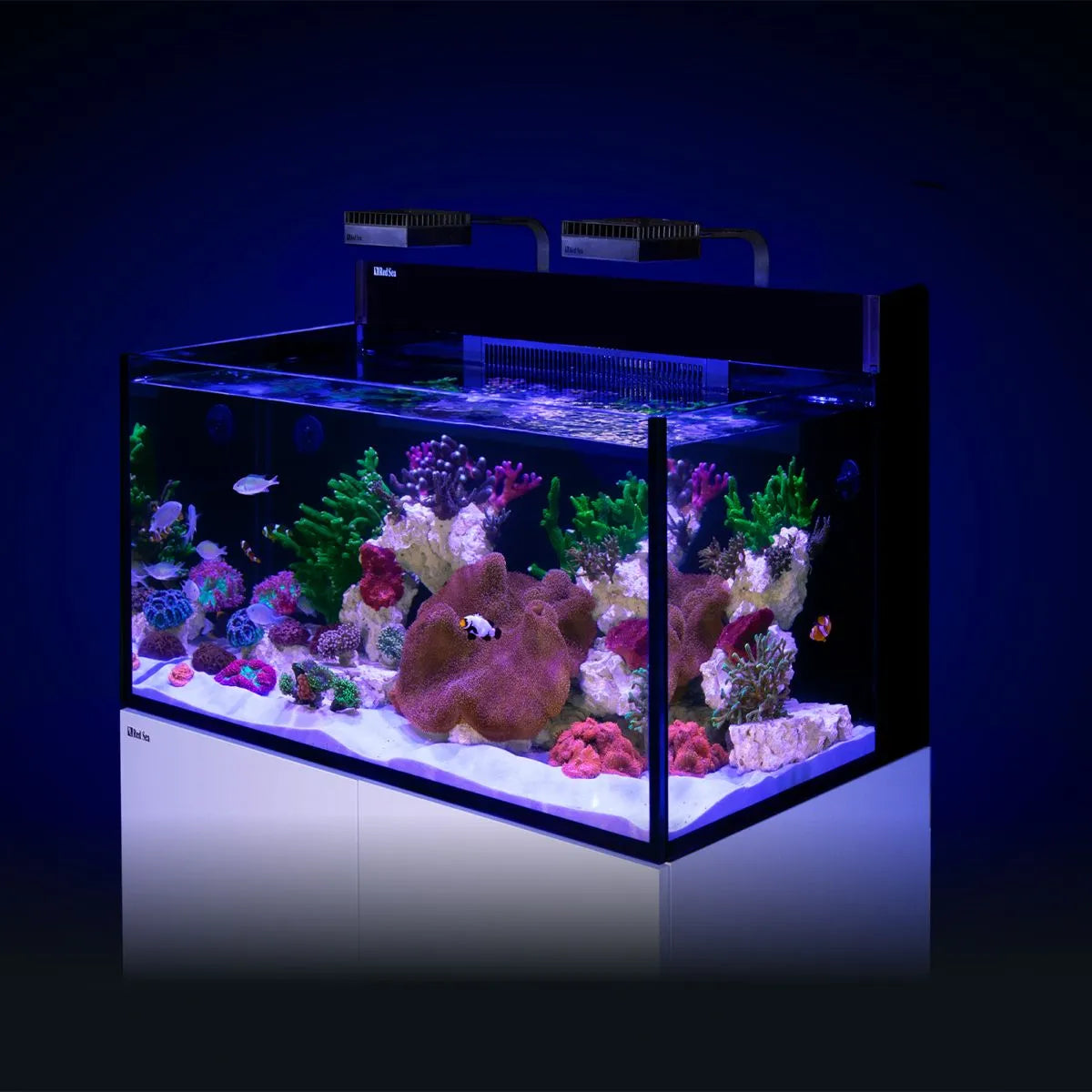 Red Sea MAX Nano G2 XXL 53 gallon