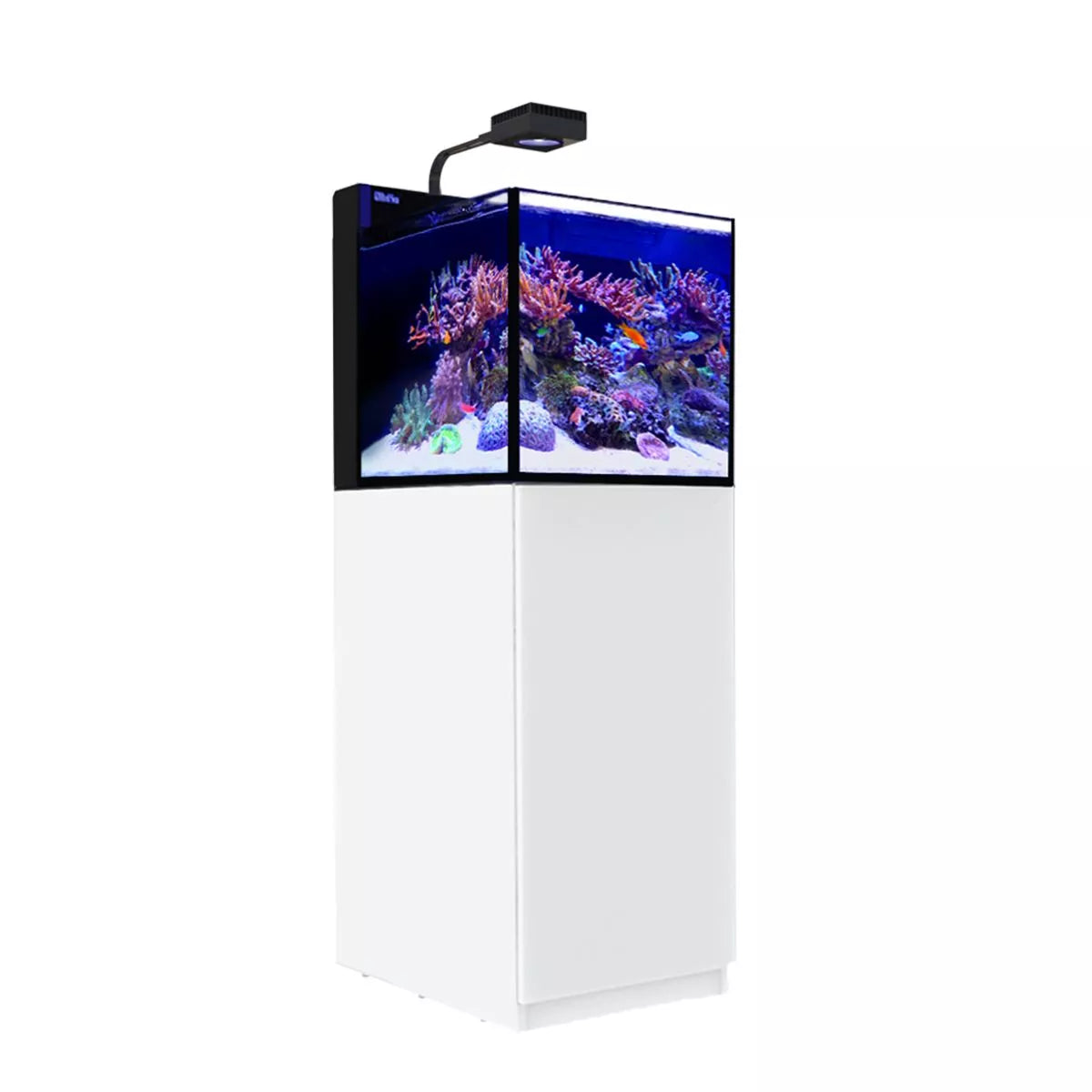 Red Sea Max Nano Peninsula G2 avec ReefLED50 Blanc