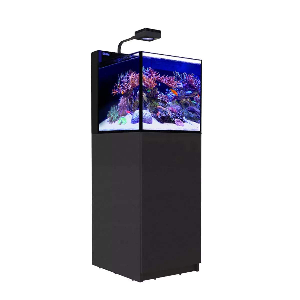 Red Sea Max Nano Peninsula G2 avec ReefLED50 Noir