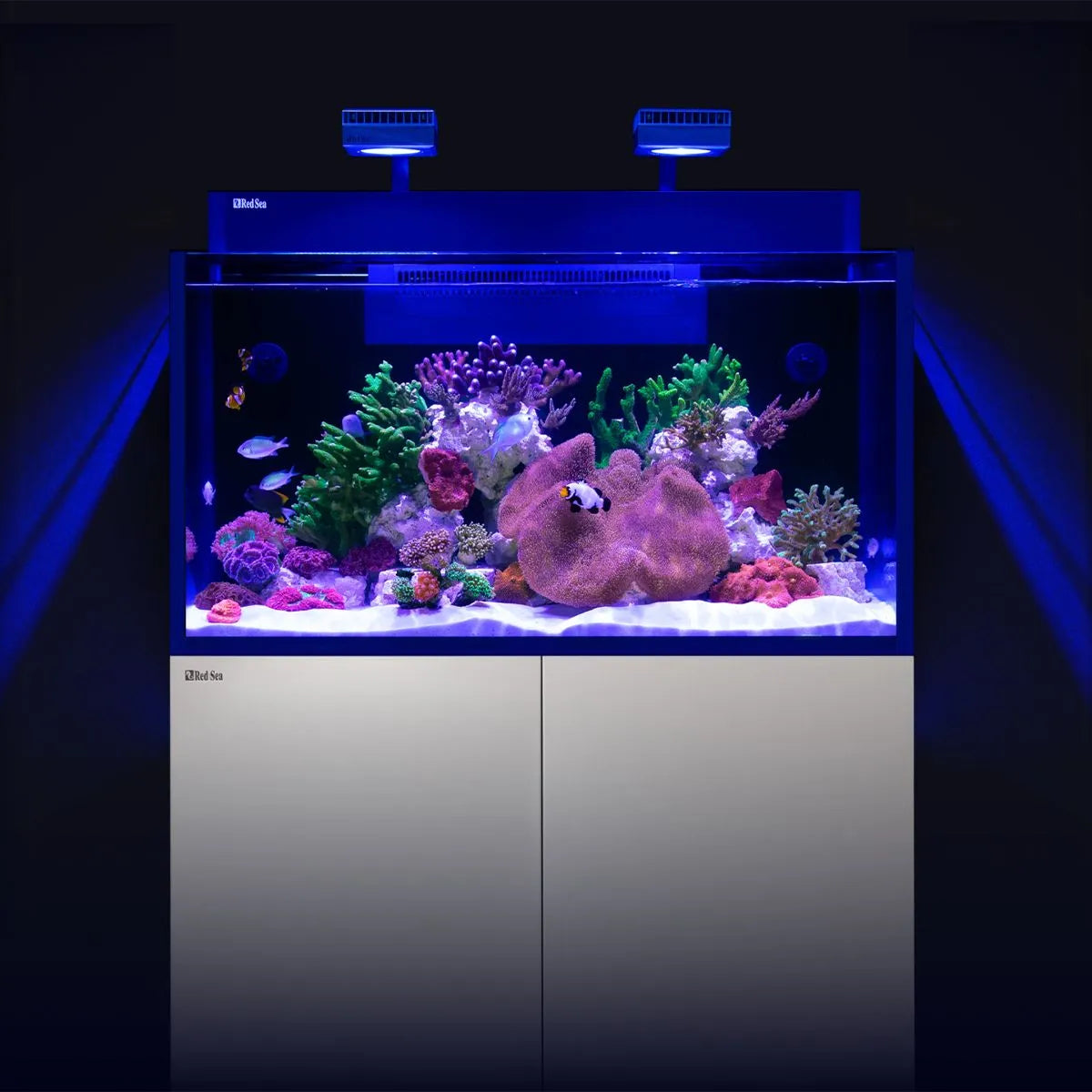 Red Sea MAX Nano G2 XXL 53 gallon