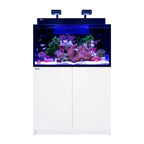 Red Sea MAX Nano G2 XXL 53 gallon Blanc (White)