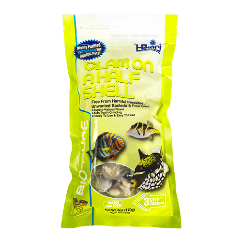 Palourde Hikari Bio-Pure congelée sur demi-coquille, gros plan de la chair exposée