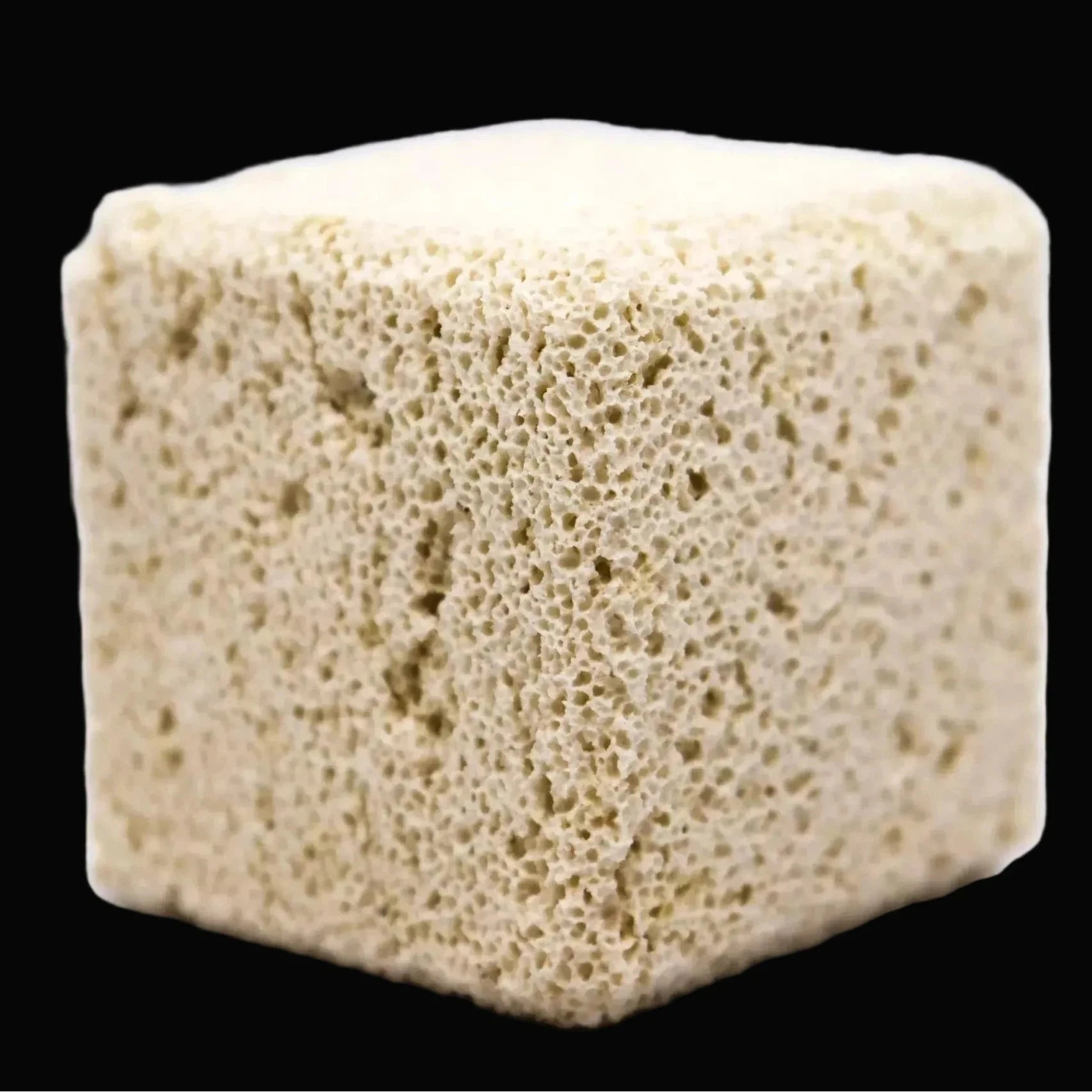 Reef Casa Bacteria Hotel Blocks blocs biomédia poreux biofiltration aquarium récifal 4 blocs 70x70 mm