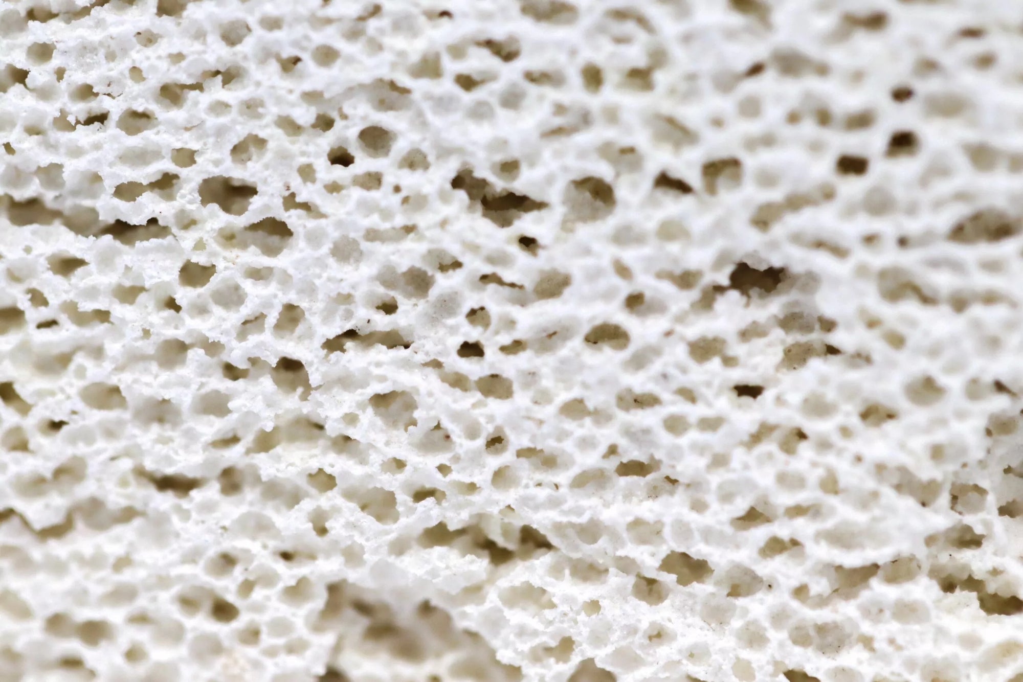 Reef Casa Bacteria Hotel Blocks blocs biomédia poreux biofiltration 