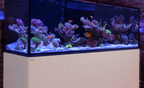 Red Sea REEFER 250 G3 - meuble en contreplaqué renforcé du système récifal