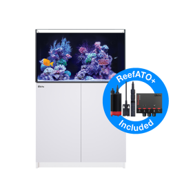 Red Sea Reefer G2+ 250 Blanc (White)