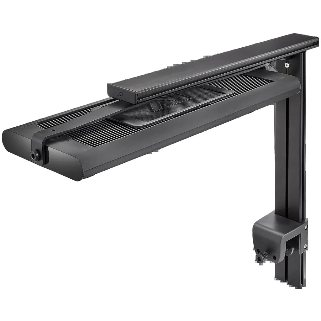 AquaIllumination Hydra Edge montée sur bracket C et HMS Single Arm vue arrière