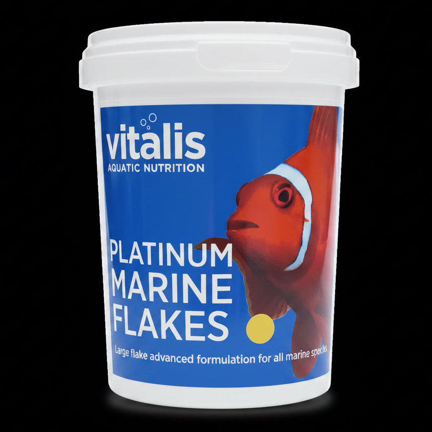 Pot 40 g de flocons Vitalis Platinum Marine pour poissons marins tropicaux