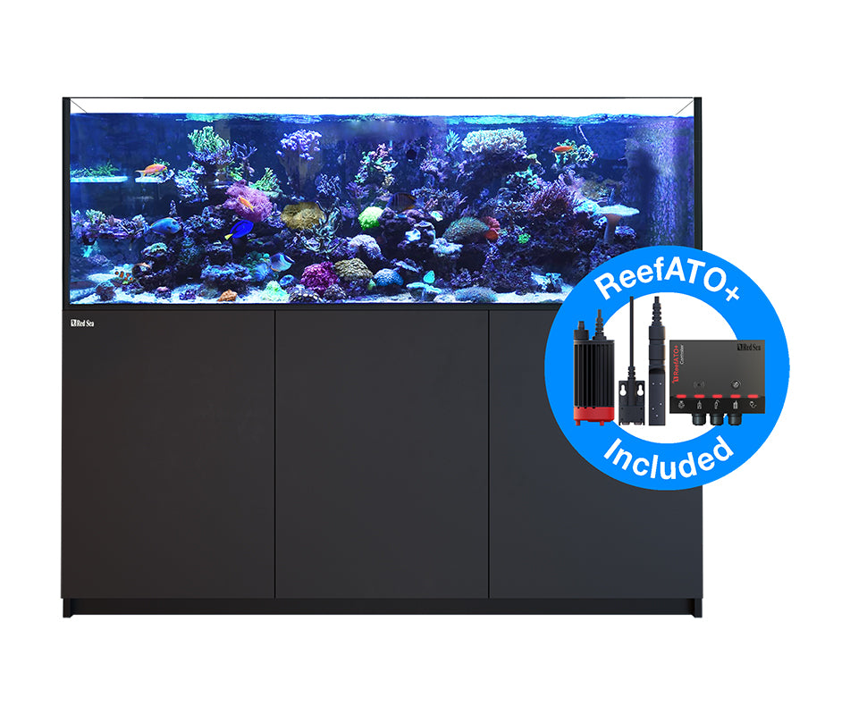 Red Sea Reefer G2+ XXL 750 Noir (Black)