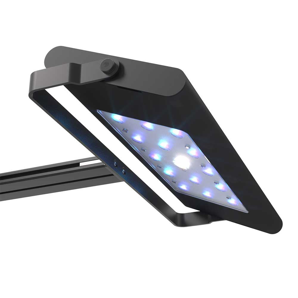 AquaIllumination Hydra Edge HD allumée LEDs Solar Ring shimmer vue dessous angle
