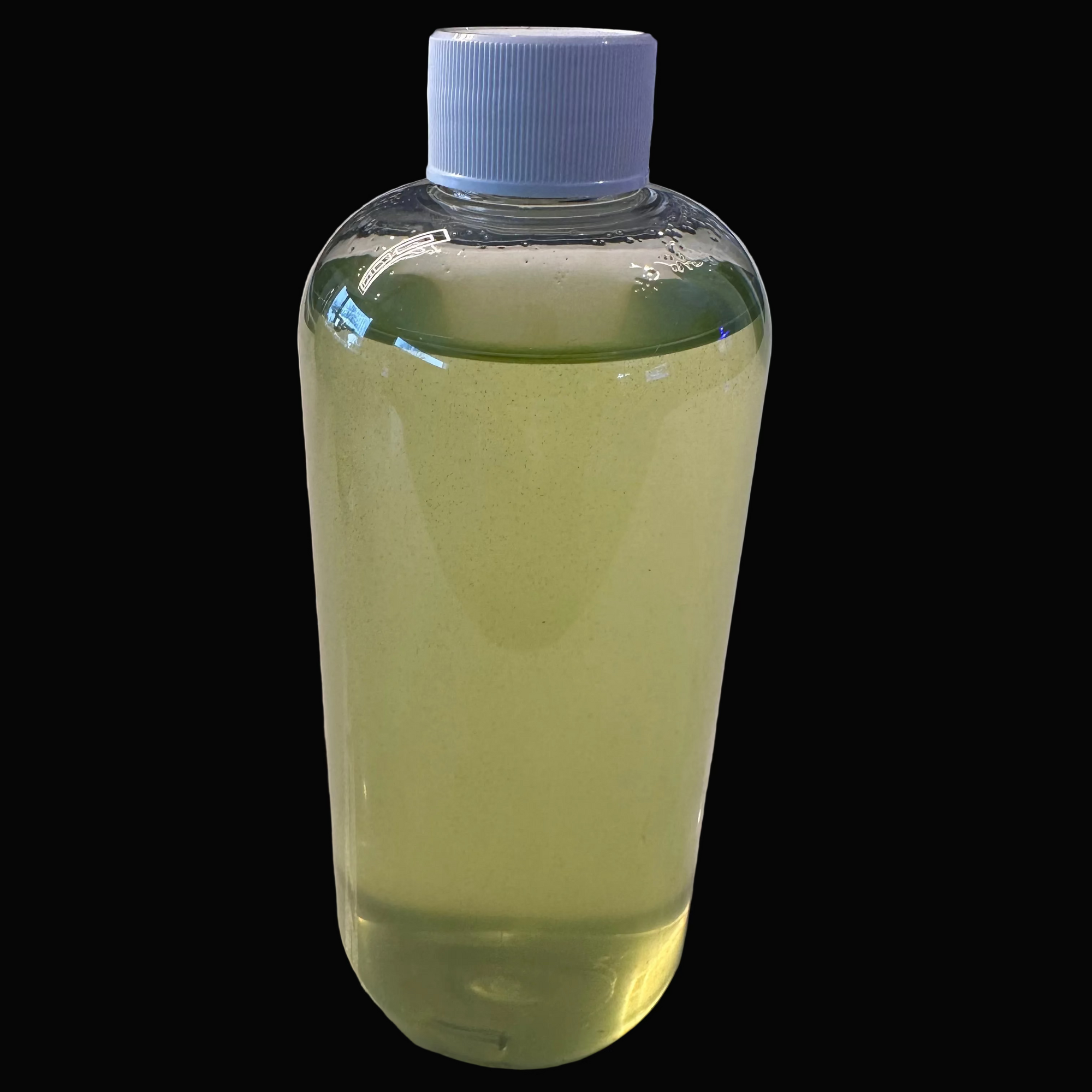 Copepod Vivant – Bouteille 500ml Zooplancton Vivant pour Aquarium Récifal