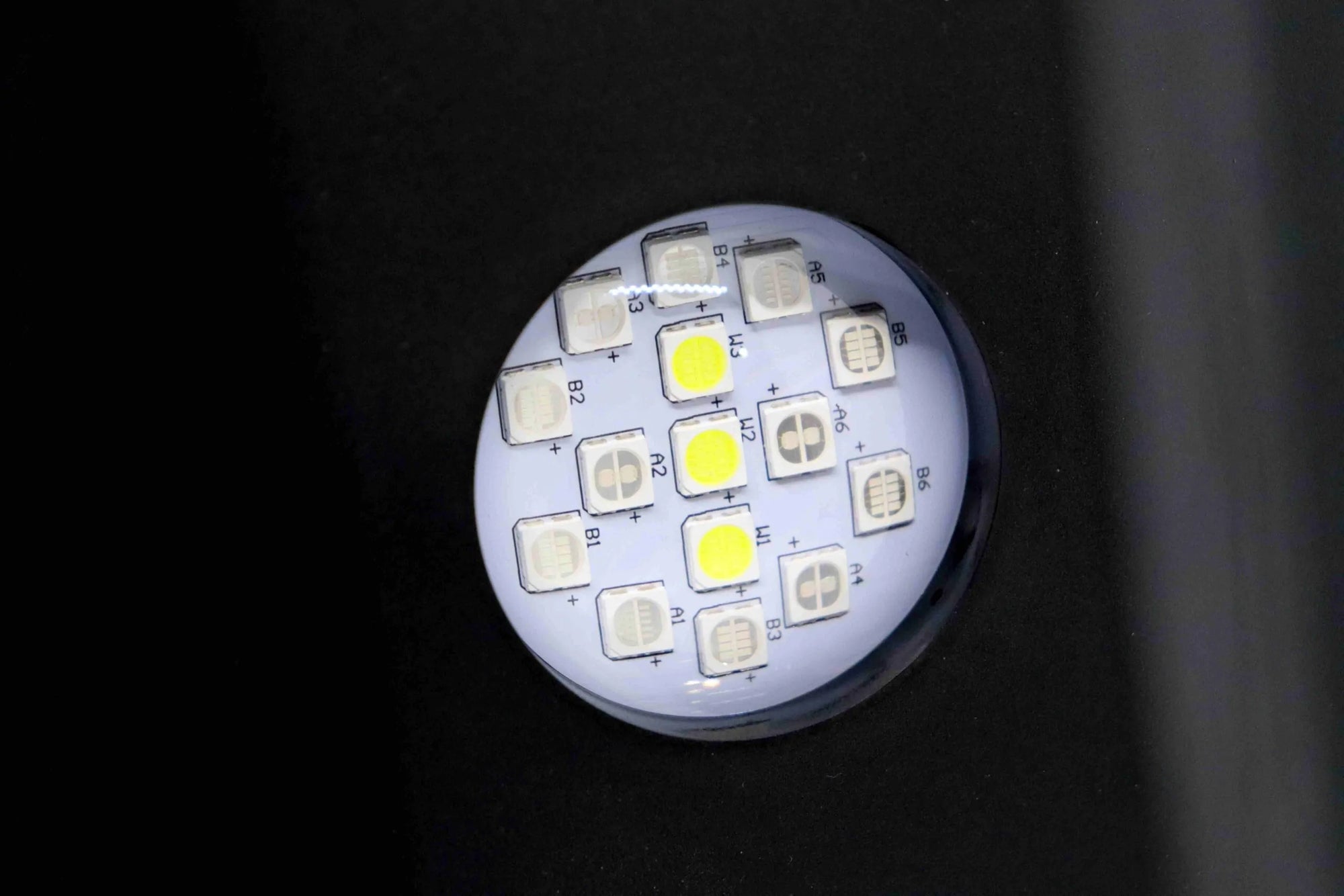 Manta par Reef Casa - Éclairage LED 75W pour aquariums récifaux jusqu’à 60 cm²