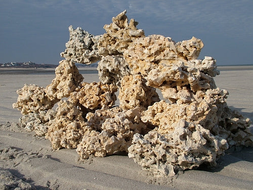 Marco Rocks Key Largo Foundation Rock