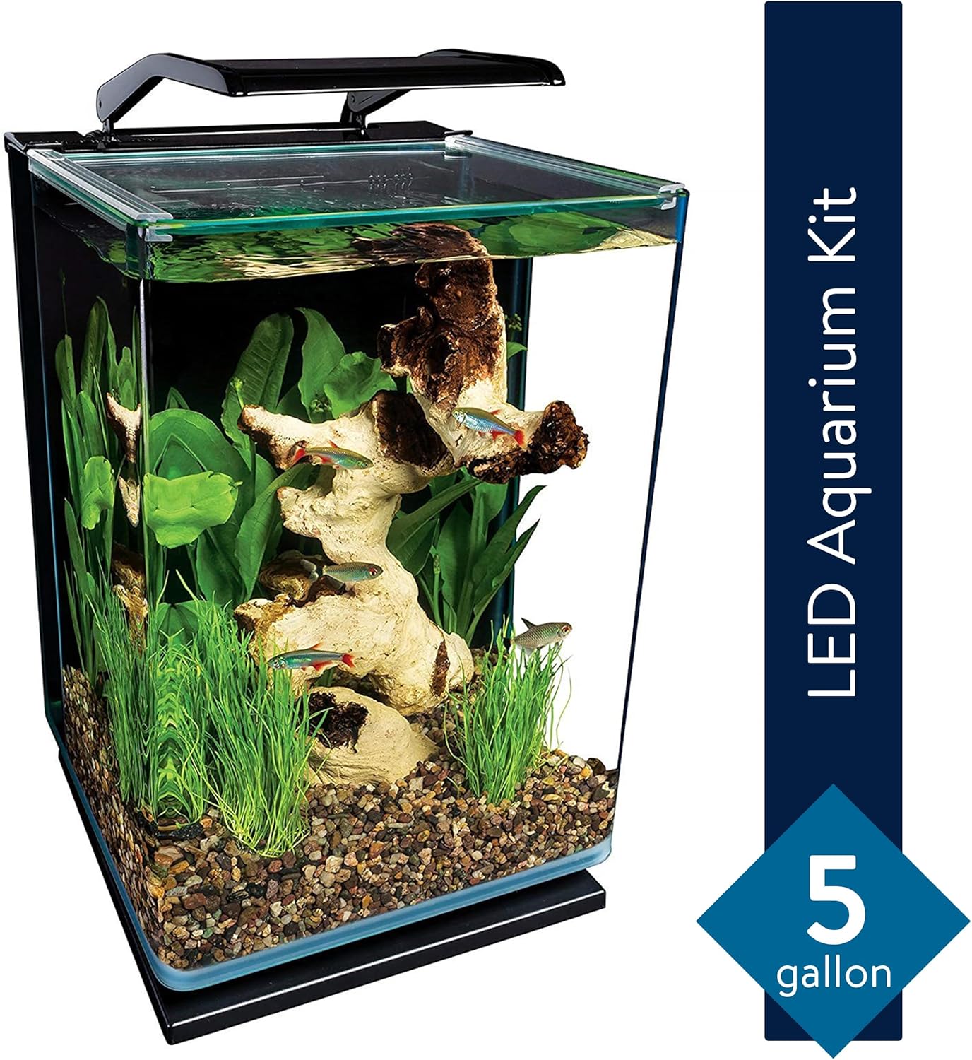 Marineland Portrait 5g Aquarium Kit