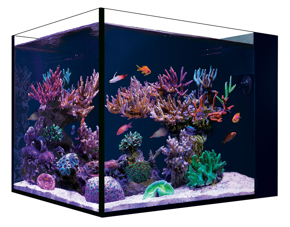 Red Sea DESKTOP Peninsula – Aquarium NANO Tout-en-Un Aquarium Seulement