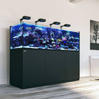 Red Sea Reefer 200 G3+ XL (42 Gallons) avec ReefATO+