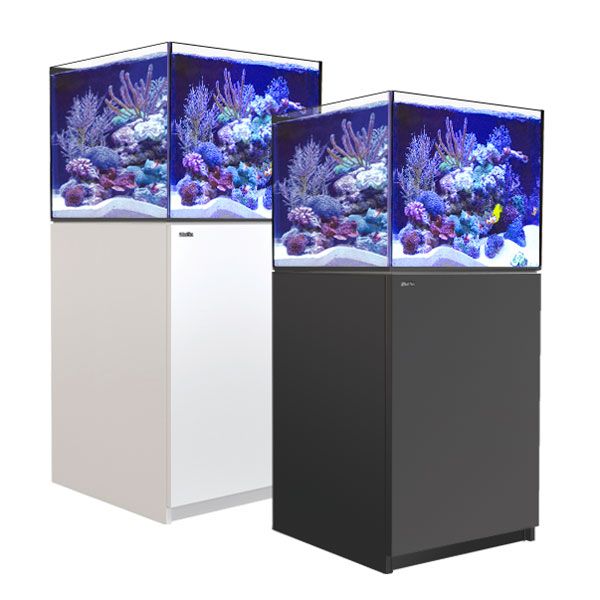 Red Sea Reefer 200 G3+ XL (42 Gallons) avec ReefATO+