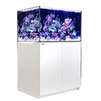 Red Sea REEFER 300 G3 – Aquarium Récifal Premium Silencieux et Évolutif Blanc (White)