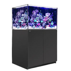 Red Sea Reefer 300 G3 en finition noire