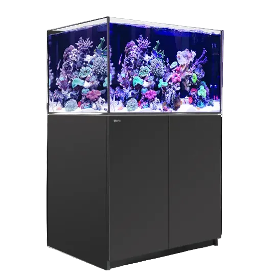 Red Sea REEFER 300 G3 – Aquarium Récifal Premium Silencieux et Évolutif Noir (Black)