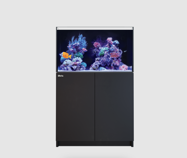 REEFER 350 G3 – Premium, silent, and expandable reef aquarium REEFER 350 G3 – Premium, silent, and expandable reef aquarium