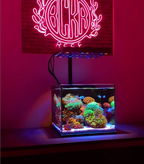 Aquarium Reef Casa Cube 15 — nano récifal 15 gallons, verre ultra-clair 5 mm, empreinte 16 x 15 pouces
