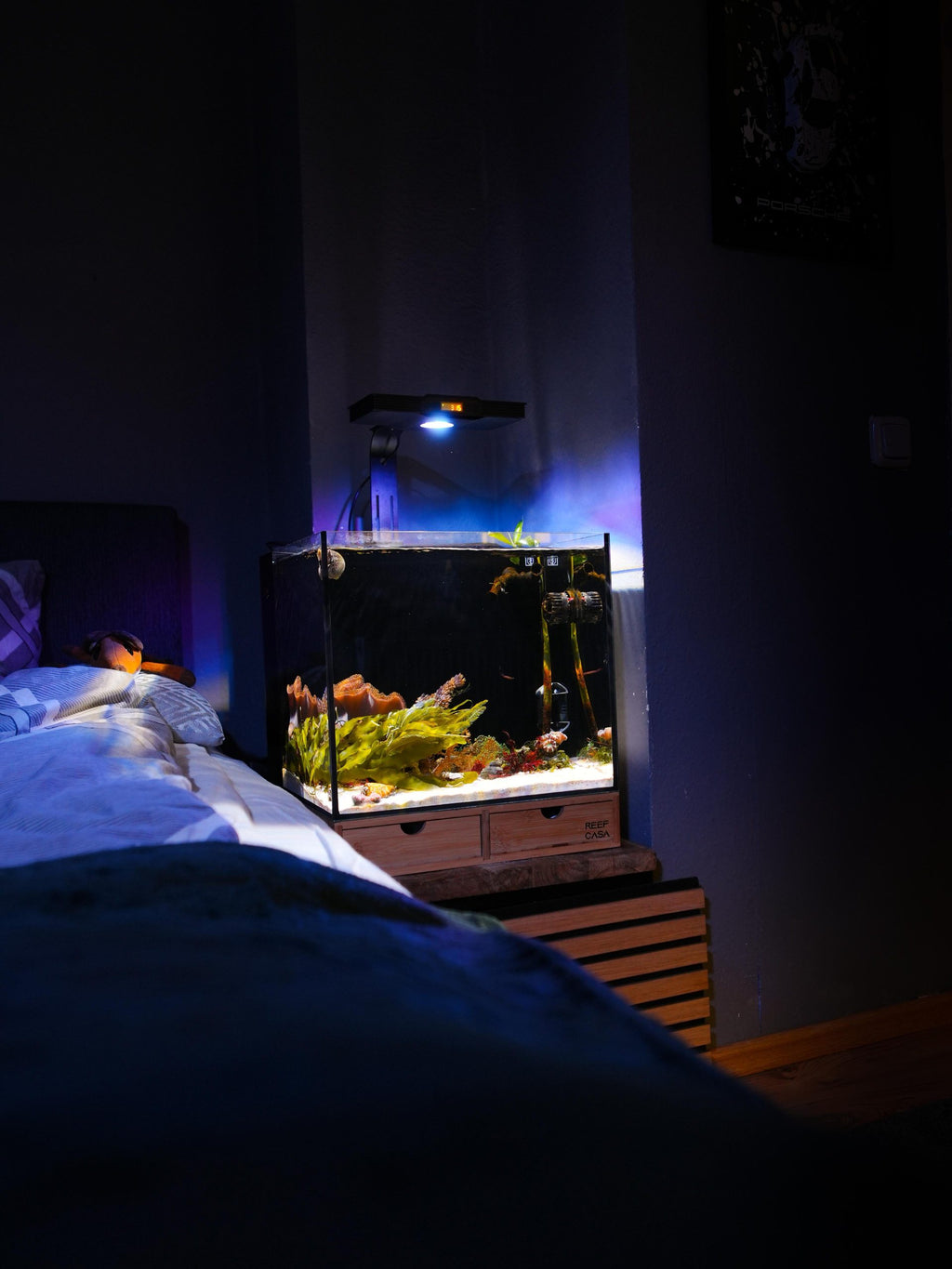 Reef Casa Cube 15 Mark II — nano récifal tout-en-un 15 gallons pour coraux et poissons nano