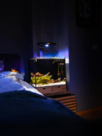Reef Casa Cube 15 Mark II — nano récifal tout-en-un 15 gallons pour coraux et poissons nano