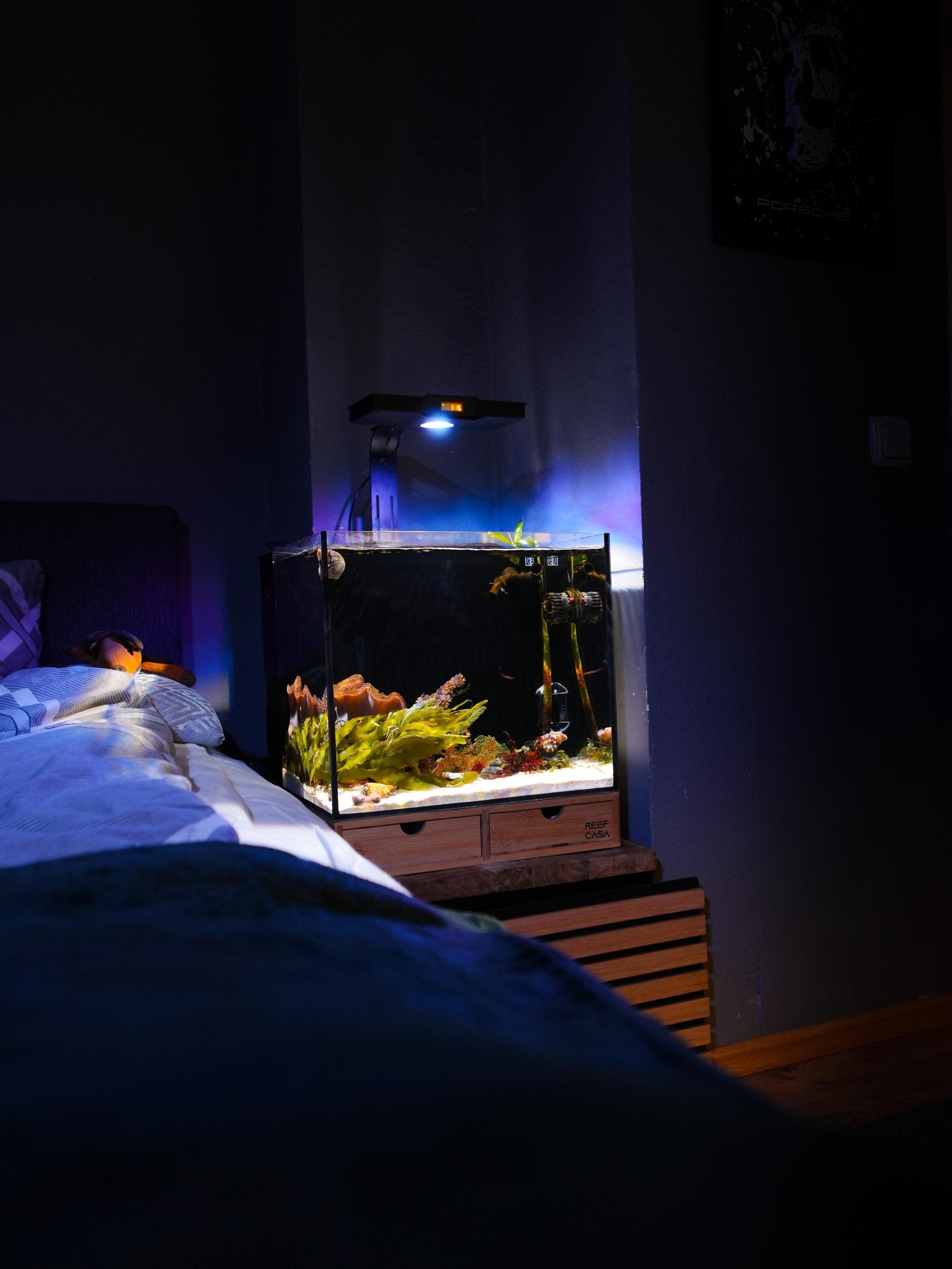Reef Casa Cube 15 Mark II — nano récifal tout-en-un 15 gallons pour coraux et poissons nano