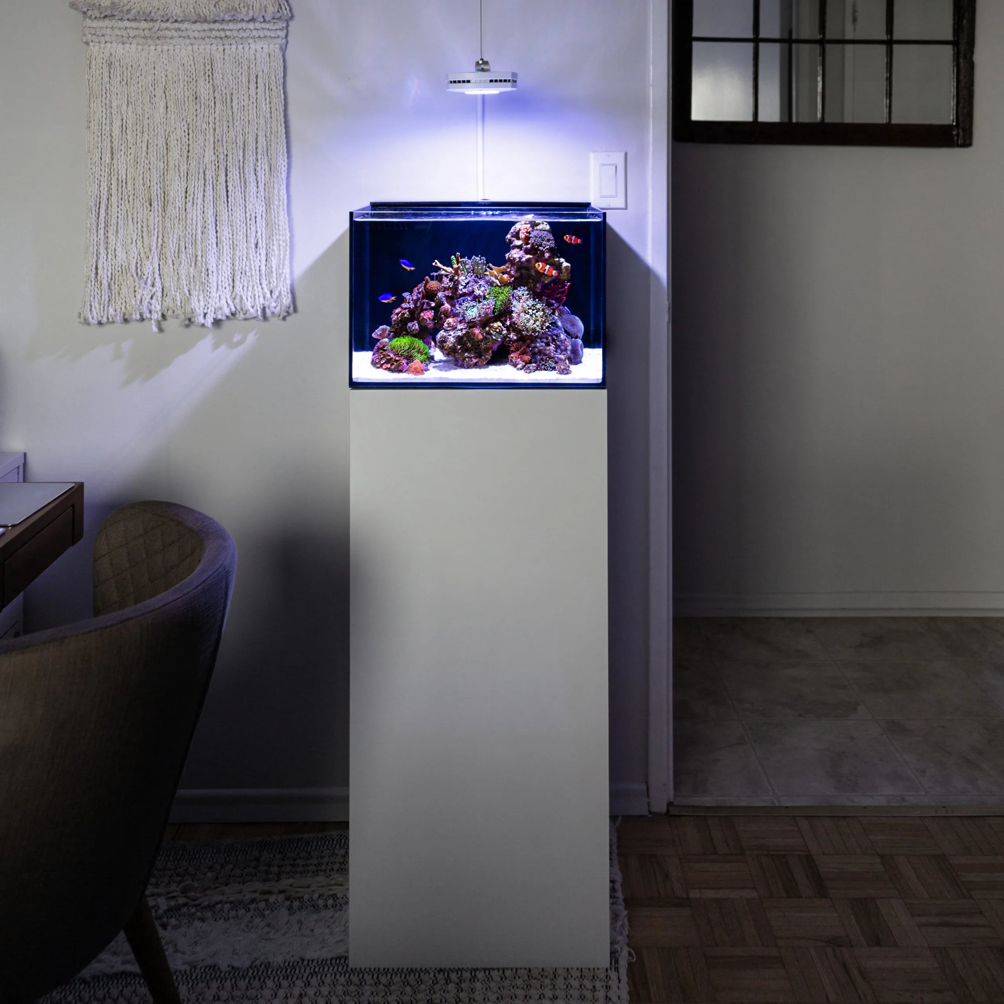 Reef Casa meuble et aquarium nano blanc Pico Studio Cube 
