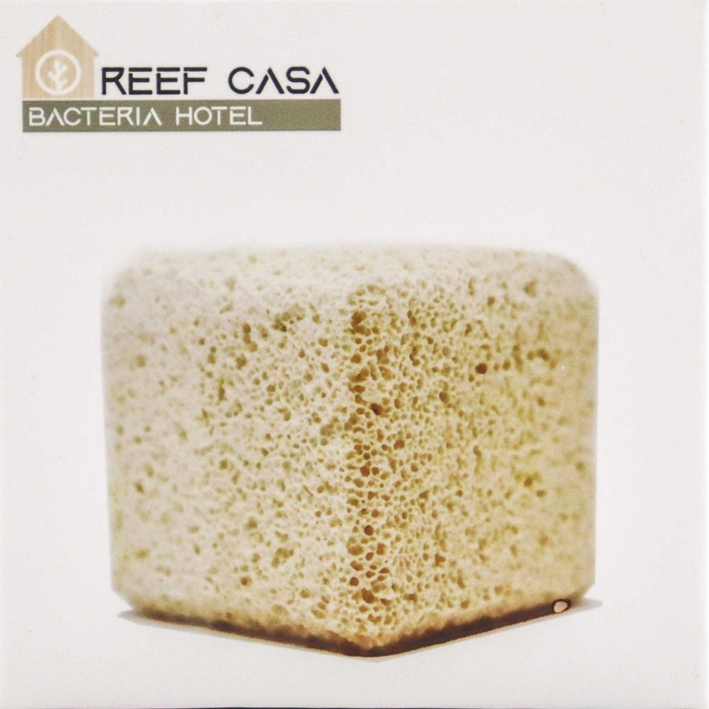 Reef Casa Bacteria Hotel Blocks blocs biomédia poreux biofiltration aquarium récifal 4 blocs 70x70 mm boite