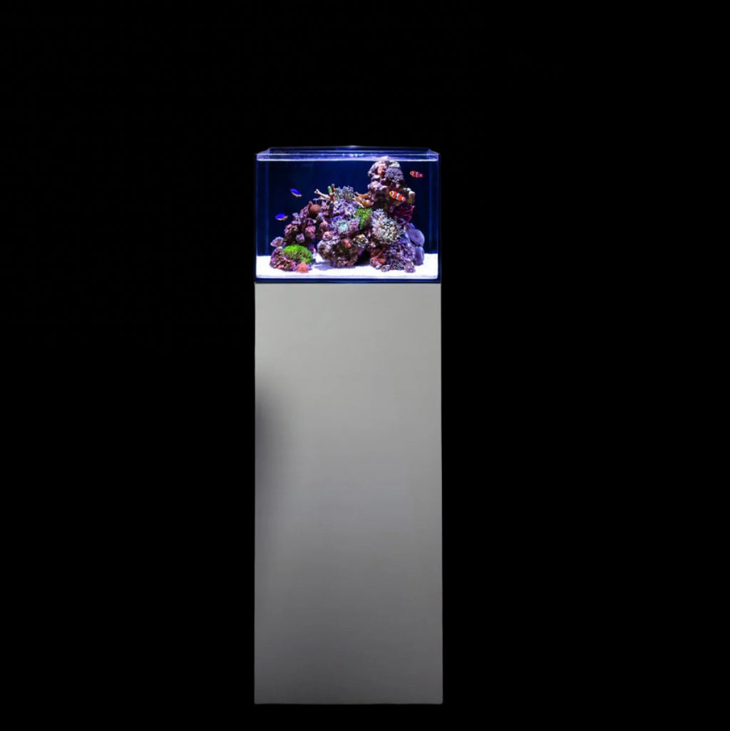 Reef Casa Laguna 24 Gallon All In One Aquarium Shallow Lagoon Aquarium Avec support d'aquarium
