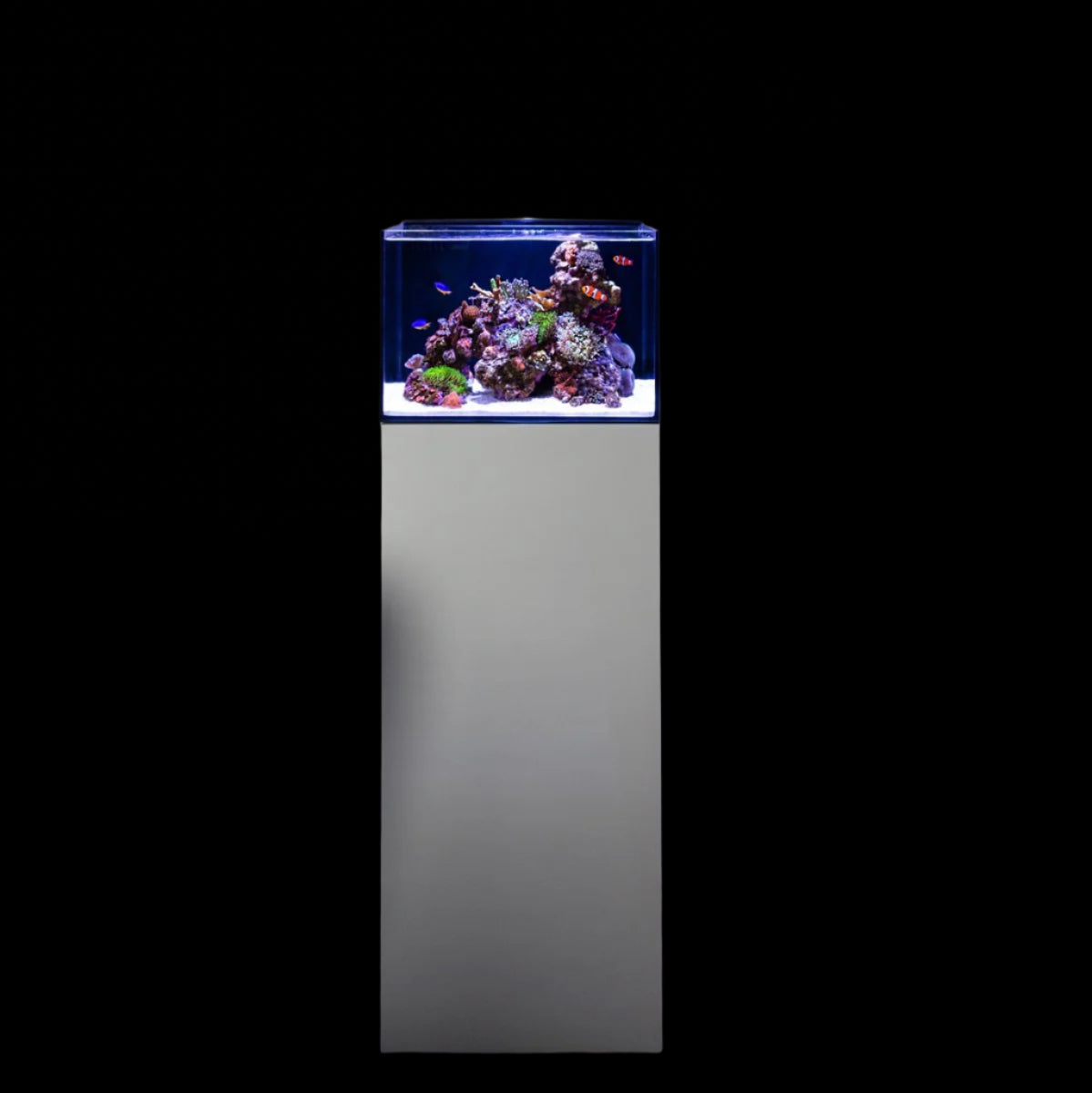 Reef Casa Laguna 24 Gallon All In One Aquarium Shallow Lagoon Aquarium Avec support d'aquarium