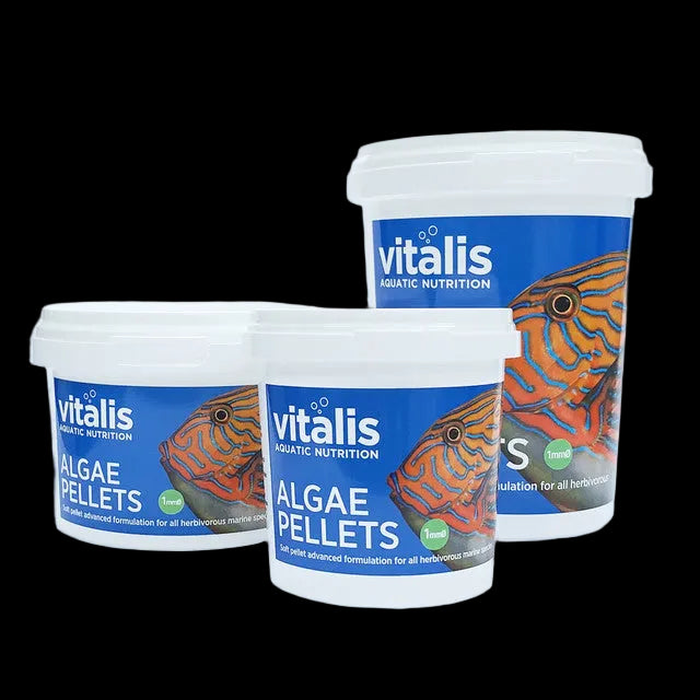 Gamme Vitalis Algae Pellets trois formats de pots granules d'algues poissons marins herbivores