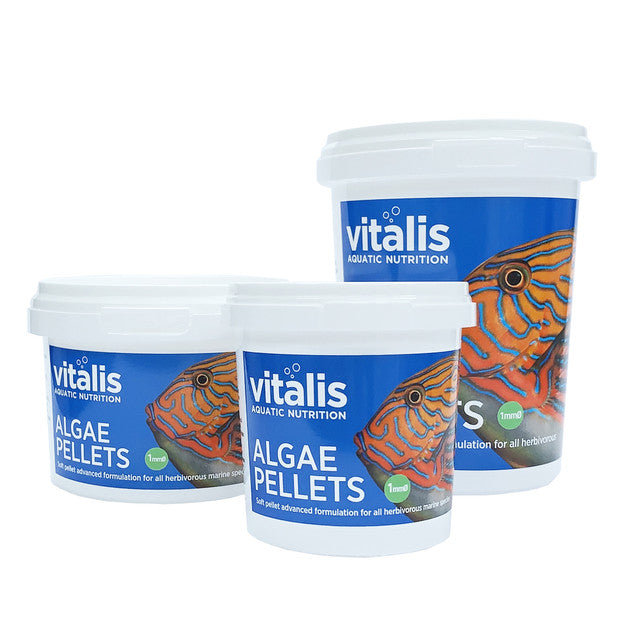 Gamme Vitalis Algae Pellets trois formats de pots granules d'algues poissons marins herbivores