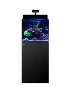 Red Sea Max Nano XL G2 - 33 gallon – Aquarium tout-en-un complet Noir (Black)