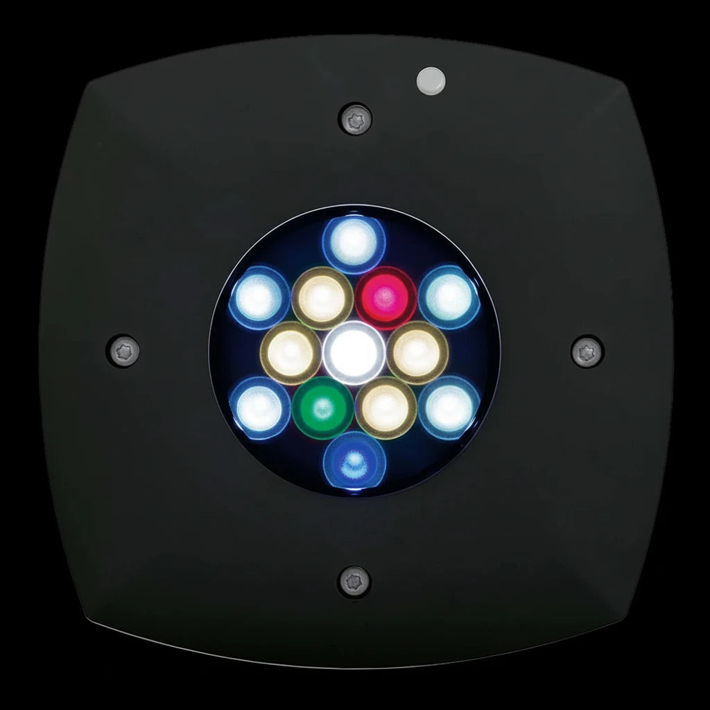 AquaIllumination Prime 16HD Freshwater noir vue dessous LEDs multicolores spectre eau douce planté