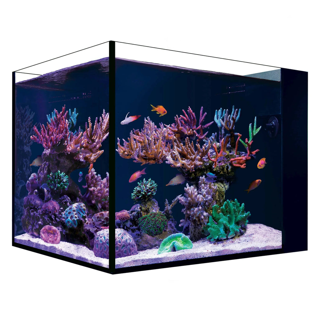 Red Sea DESKTOP Peninsula – Aquarium NANO Tout-en-Un Aquarium Seulement