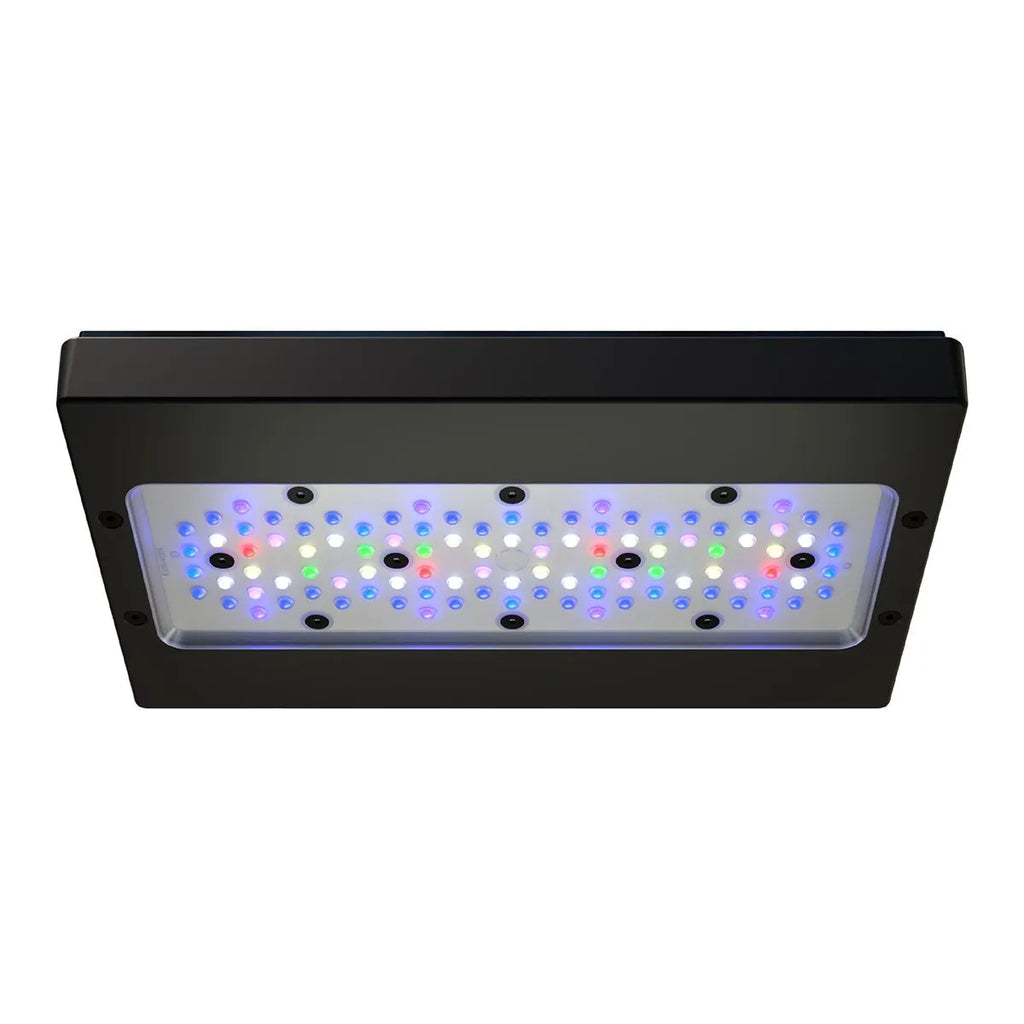 Radion XR30 PRO G6 EcoTech Marine vue de 3/4 dessous, LED blanches, bleues, rouges et vertes